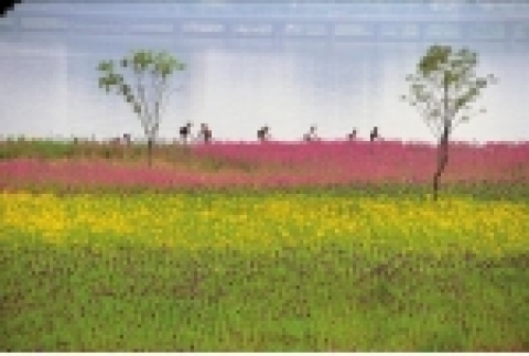 2004년도 동상 ‘한강의 봄’