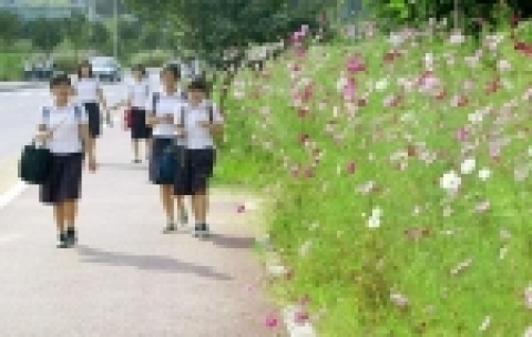 익평꽃길