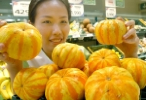 삼성테스코 홈플러스 강서점에서는 독특한 색상의 '황금단호박'을 선보여 눈길을 끌고 있다.