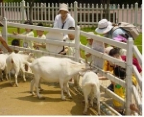 어린이대공원(www.childrenpark.or.kr) 열대동물관에서 주5일수업에 따른 초등학생 학습프로그램인 “놀토 동물학교”를 개설·운영한다.