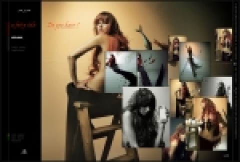 PSP™ 브랜드 사이트 `PSP 스타일 (www.psp-style.co.kr)'가 국내의 권위있는 웹디자인 어워드 “굿 디자인 웹2005” (2분기) 에서 대상을 차지하였