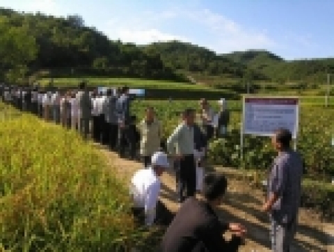청자콩 지역 특산화 연구 현장 평가회