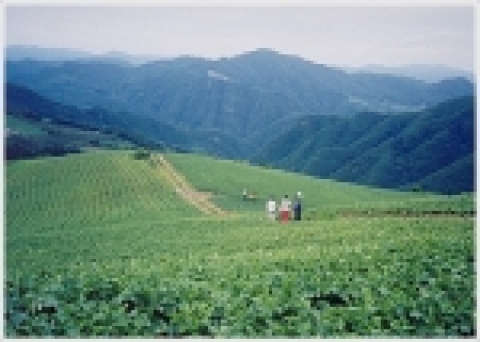 경북 봉화 청량산비나리마을