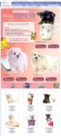 온라인 종합쇼핑몰 디앤샵(www.dnshop.com)에서는 온라인쇼핑몰 업계 단독으로 요크셔테리어, 말티즈, 푸들 종의 ‘티컵강아지(초소형강아지)를 판매한다.
