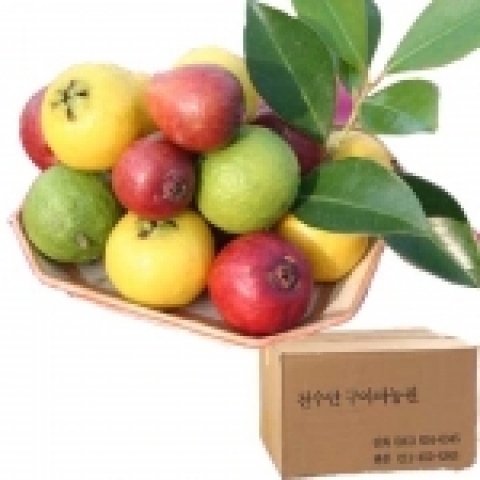 천수만 AB 방조제 옆에 자리하여 안면도와 가까운 천수만 구아바농원이 무농약 , 유기농산물로 친환경농업을 통해 재배한 무아바과실.
