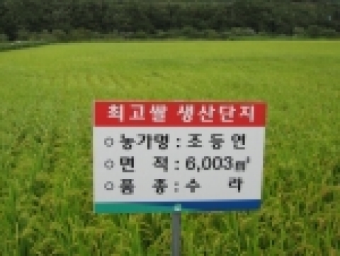 강원도농업기술원에서는 수입쌀 시판에 적극 대응하고, 우리쌀 시장을 지키기 위해서는 쌀 품질을 높이는 것이 최우선과제로 판단,『최고쌀(Top Rice) 생산 시범단지』를 홍천 등 3개소에 설치․운영하고 있으며, 이들 단지에 대해 적기수확 및 저장․가공 등 수확 후 관리 등 쌀 품질향상 기술지원에 박차를 가하고 있다.