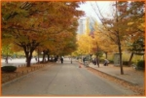보라매공원