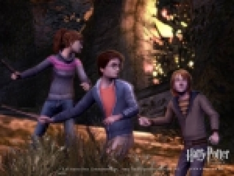 「해리포터와 불의 잔(The Harry Potter and the Goblet of Fire)」