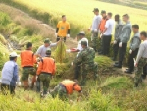 육군 1군단 예하 공병부대와 미 2사단 장병 40여명은 18일 경기도 파주시 광적면 효촌리지역 농가를 찾아 벼베기 대민지원 활동을 펼쳤다.