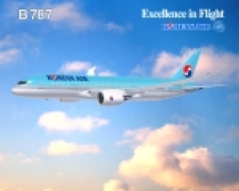 대한항공은 미국 보잉사가 개발중인 차세대 여객기 보잉 787-8 드림라이너(Dreamliner) 국제공동개발 사업에 파트너로 참여한다
