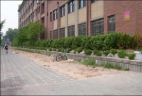 걷고싶은 녹화거리 조성사업 조성 전