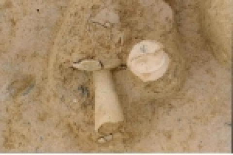 가-1지구 5호 주거지내 출토유물