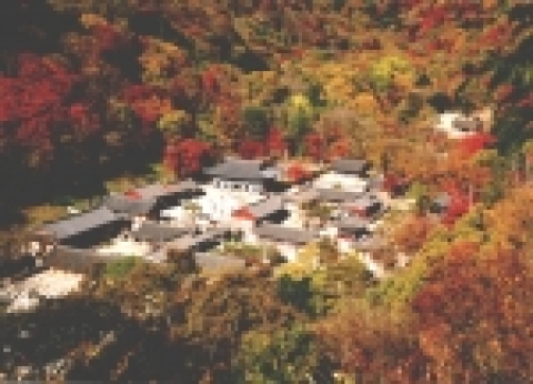 국립공원 백암산 일대의 오색단풍을 배경으로 가을단풍이 절정을 이루는 10월 28일부터 30일까지 3일간에 걸쳐 ‘제10회 장성백양단풍축제’가 화려하게 펼쳐진다.