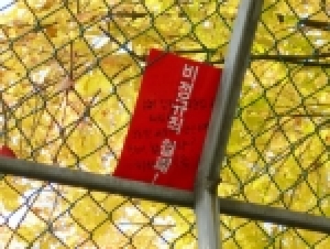 '비정규직 철폐' 레드카드에 쓰여진 비정규직 철폐에 염원과 울분이 대답없는 노동부 청사 철조망에 덩그러니 걸려있다.