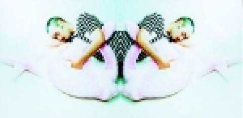 알렉시스 카레뇨(Alexis Carre&ntilde;o), <잠>, 2001, 폼보드에 컬러사진, 200X400cm
