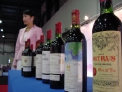 2005세계와인페스티벌에서 최고 1000만원에 달하는 고가의 와인을 경매에 앞서 선보이고 있다