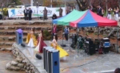 밸리댄스팀 공연