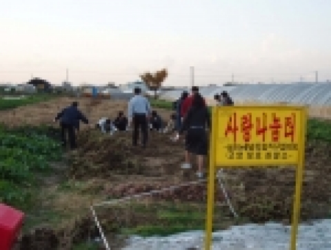 고양보호관찰소는 2005. 11. 8.(화) 채소가 영글어 가는 고양시 일산구 장항동 소재 ‘사랑나눔터’ 농장에서 보호관찰처분을 받은 청소년, 보호자 및 법무부범죄예방위원덕양지구협