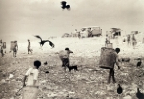 <쓰레기더미>, 포르탈레짜, 브라질, 1983