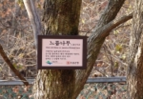 수목표찰