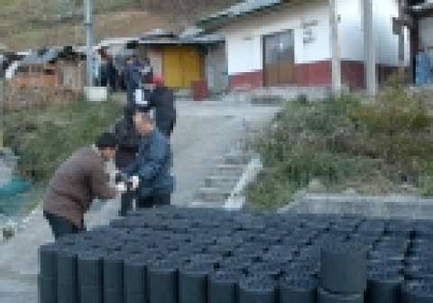 강원랜드 조리팀 직원들이 15일 태백시 장성2통의 독거노인 등 20가구에 연탄 200장씩 4,000장을 전달하고 있다.
