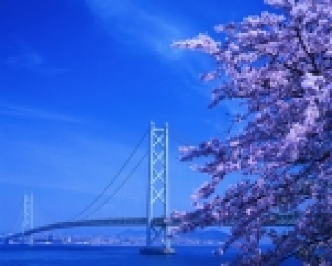 금문교 복원 