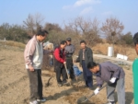 경북도 법무담당관실(담당관 최기환)직원들은 11월 25일(금) 자매결연 마을인 군위군 산성면 백학2리를 찾아 농촌의 실상과 애환을 듣고 경로당과 마을주변의 청소 및 자연정화활동을실시하고,마을이장의대추나무심기등농촌봉사활동을 실시하였다.