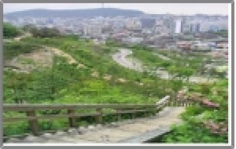 종로구 동숭동 시민아파트 자리에 조성된 낙산공원 모습