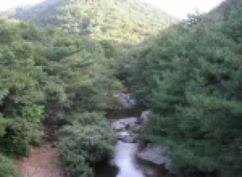 용현계곡