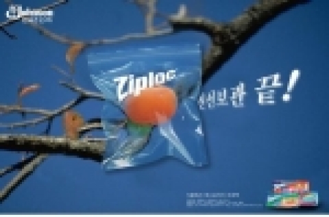 특선 : 신선보관 끝