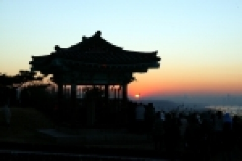 지난해 해맞이 행사 장면