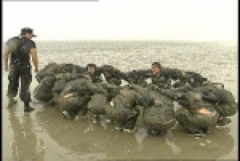 해병대캠프