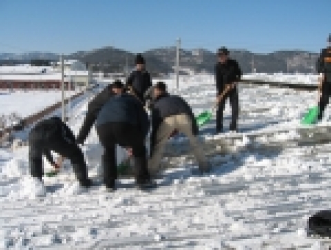 부천시공무원, 전북 고창군 아산 지역 설해복구 앞장