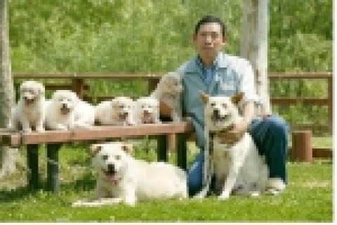 남북정상회담의 상징 풍산개 ‘우리&두리’가 새끼들과 함께 한가로운 하루를 보내고 있다