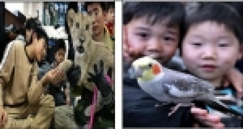서울시 공무원들 자원봉사 활동- 서울대공원관리사업소 보육원 아동들과 함께하는 「찾아가는 동물원」
