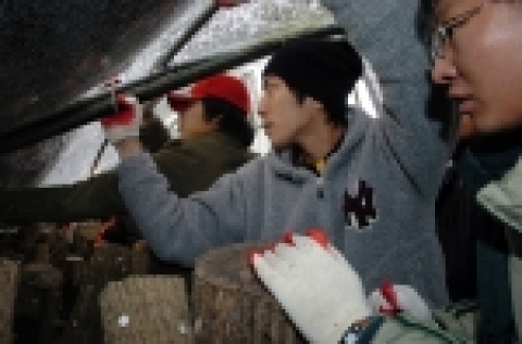 조선대학교 학생 30여명은 12월 29일 나주 영산포 일대에서 붕괴된 비닐 하우스와 축사를 복구하고 쌓인 눈을 치우는 등 폭설 피해 복구 작업에 땀을 흘렸다. 