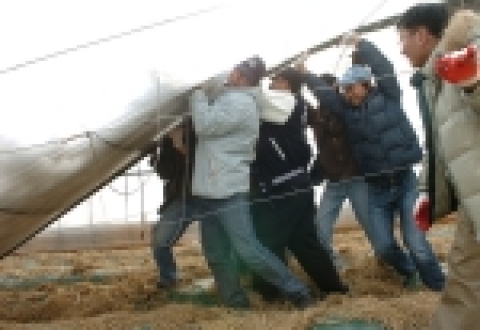 조선대학교 학생 30여명은 12월 29일 나주 영산포 일대에서 붕괴된 비닐 하우스와 축사를 복구하고 쌓인 눈을 치우는 등 폭설 피해 복구 작업에 땀을 흘렸다. 