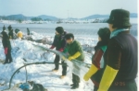 부천시 남여 새마을지도자 80여명은 남부지방에 내린 폭설로 인해 설해피해를 입은 지역에 피해복구 봉사활동을 다녀왔다.