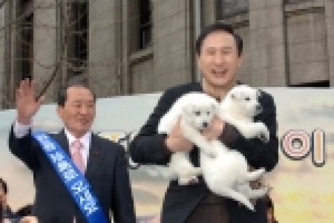 전라남도 진도군에서 서울시민에게 2006년을 상징하는 진돗개 8마리(2천년 상징하는 성견 2마리, 6년 상징하는 자견 6마리)를 기증하였다