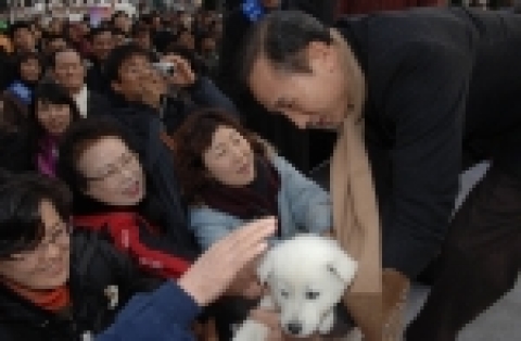진도개와 즐거워 하는 서울시민
