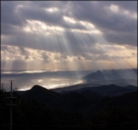 휴양림에서 본 동해