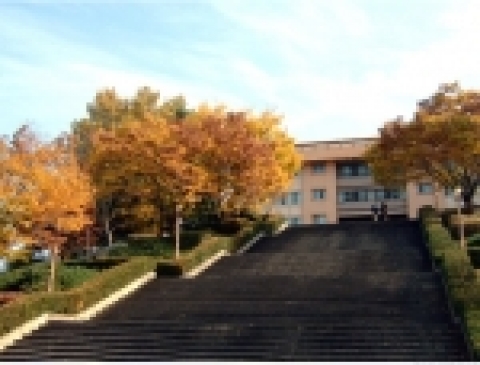 전북대학교가 도서관 신축 예산 245억원을 확보하여 BIC(Book and Information Center)개념의 최첨단 디지털 도서관을 건립하게 된다.