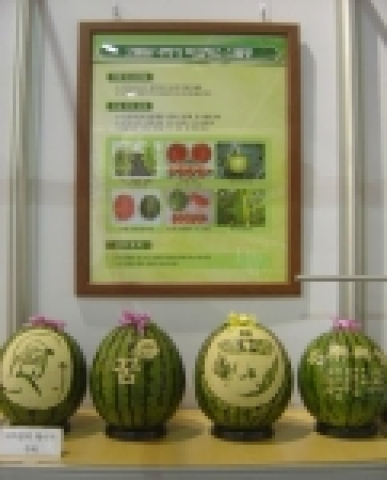 2005 서울국제원예전시회 관련 사진. 푸드카빙한 수박