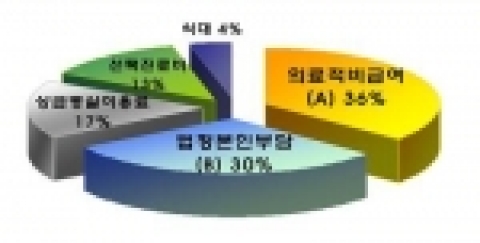암 환자가 직접 부담하는 진료비 내역분석-보건복지부