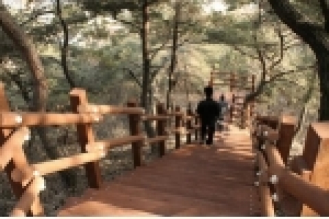 웰빙 숲길