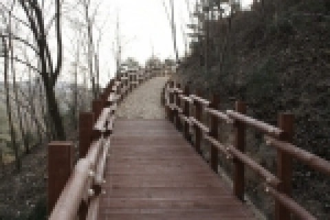 안동시 도산면(도산서원 옆) 소재 산림과학박물관 주변 산림에 산책로