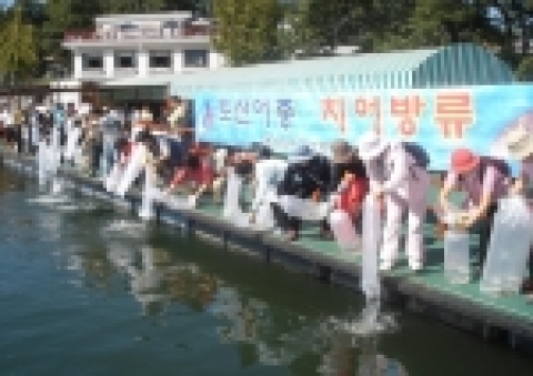 민물고기 방류 광경