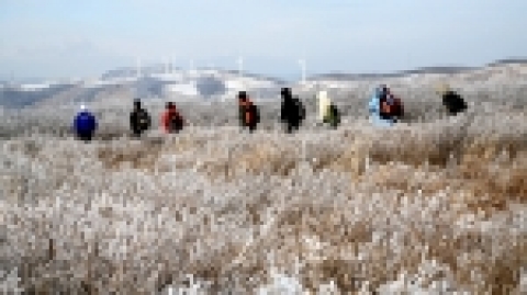 선자령 등산로