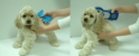 애견에게 마이크로칩을 장착 및 장착된 마이크로칩등록번호를 스캔
