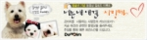 커뮤니티 다모임(www.damoim.net)은 2월 초까지 회원이 키우는 애완견과 관련된 동영상을 찍어 ‘동영상지기 I.Style(아이스타일)’에 올리면, 강아지 스킨 아이템을 제